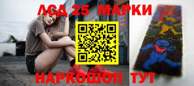 гидра Моздок